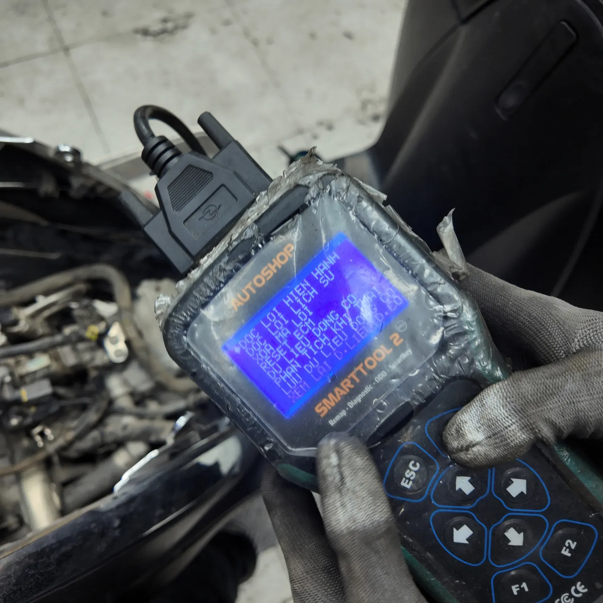 reset loi ecm ecu
